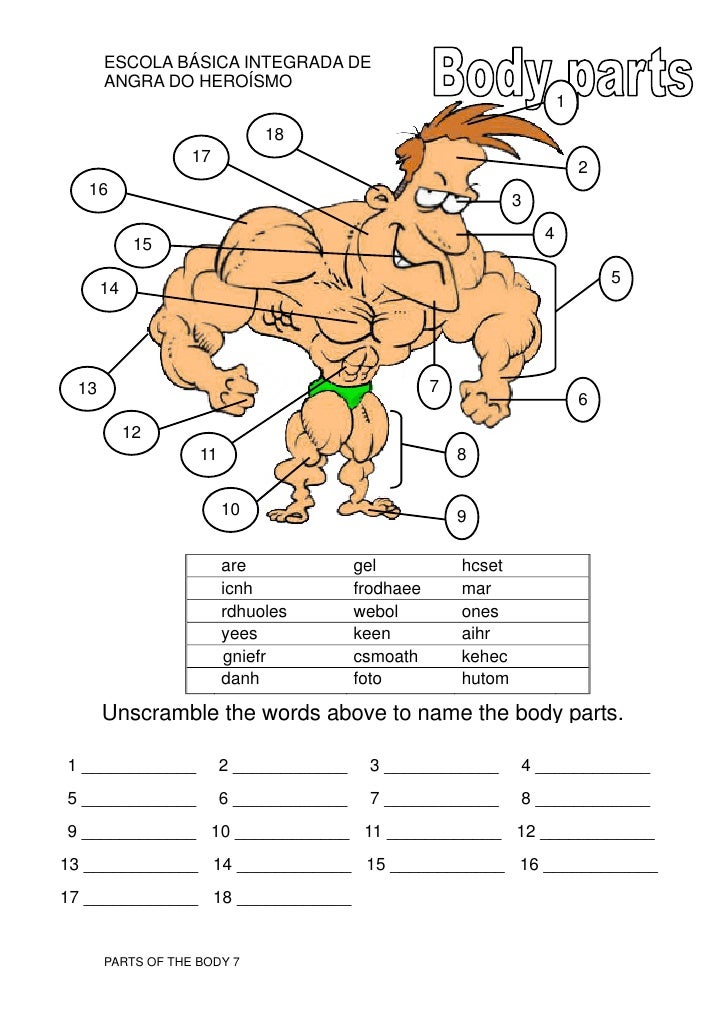 7 Body Parts